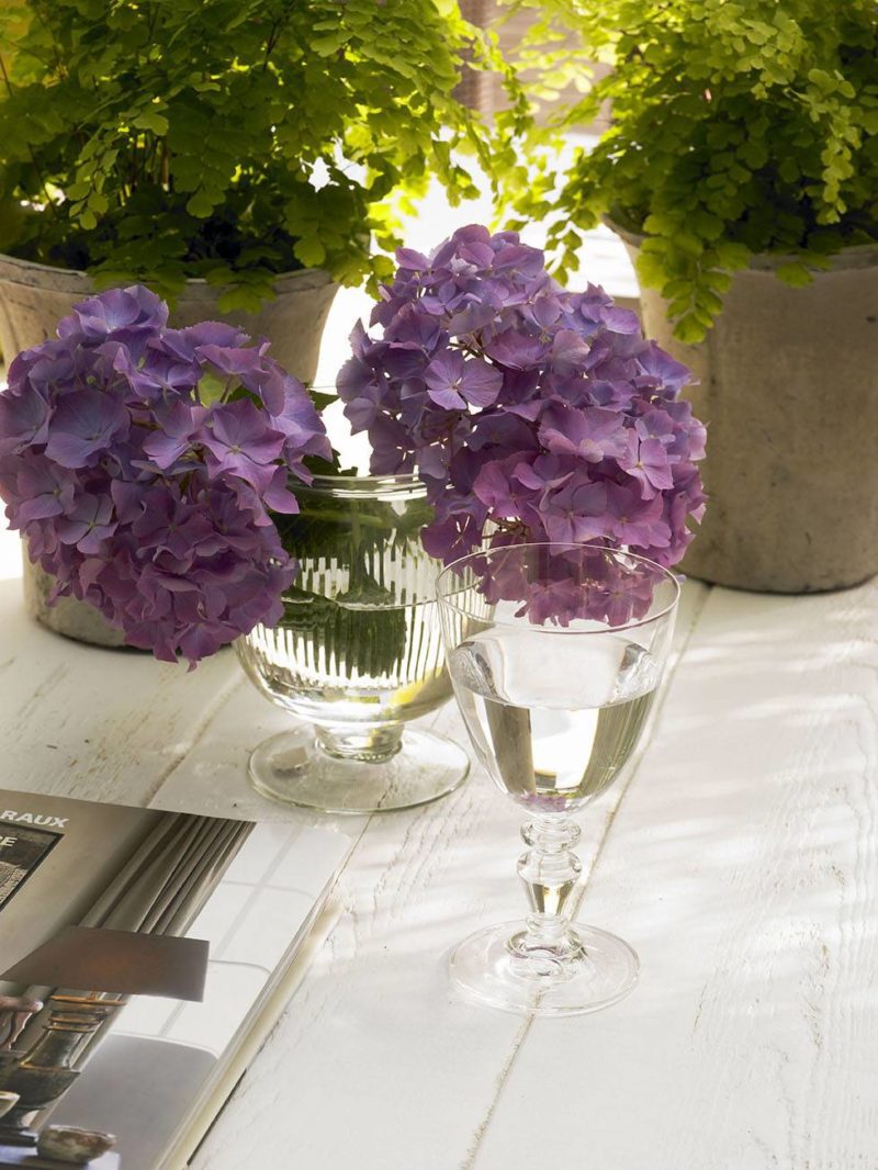 violeta very pery colores tendencia novadecora pintores madrid 
